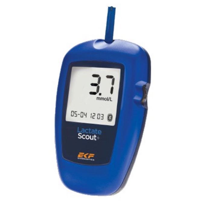 EKF Lactate-scout+Я(ͣ)